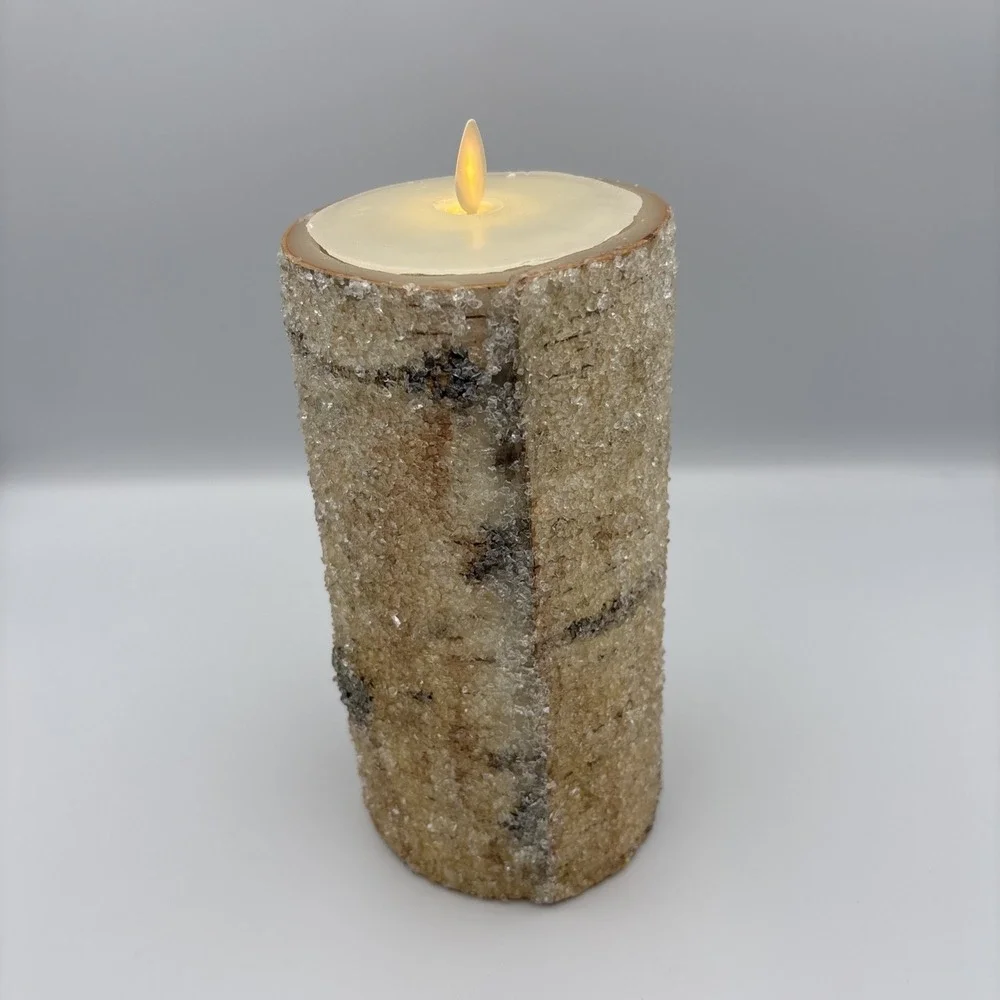 Pottery Barn by L&L Sugared Frosted Birch Flameless Pillar Candle 8